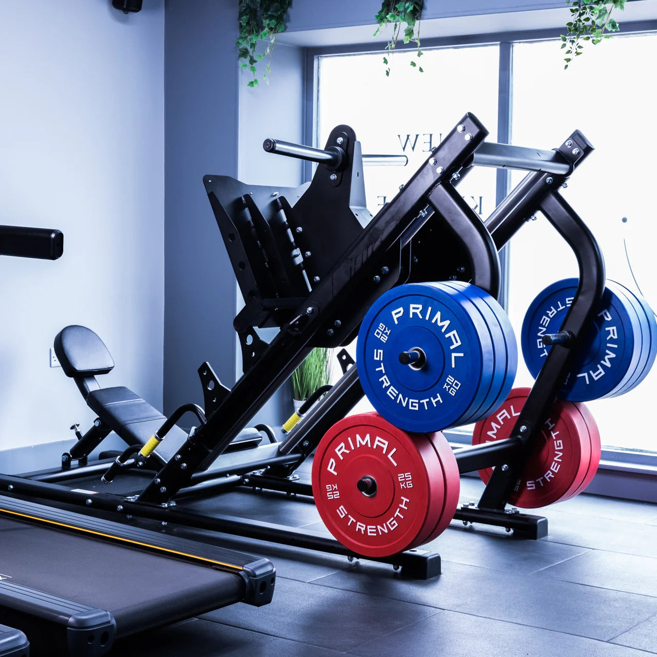 Gym Equipment